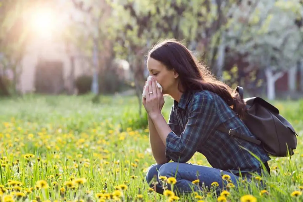 woman sneezing with allergies in flower field