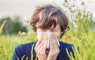 Arizona Plants Allergies
